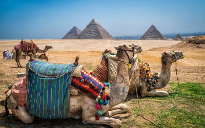 Mısır Hurghada Kahire Turu | 5 Gece 6 Gün Uçaklı | Rota Bizden