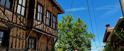 Bursa'da 5 Köy 1 Göl Kolay Doğa Yürüyüşü ve Çilek Hasadı Etkinliği