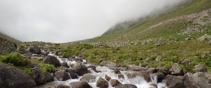 Kaçkarlar & Çamlıhemşin Yaylaları Doğa ve Kamp Turu