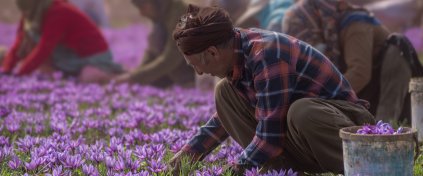 Büyük Kuzey İran Turu