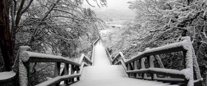 Konaklamalı Abant - Gölcük - Sapanca - Maşukiye - Ormanya Turu