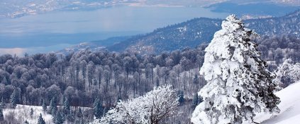 Sevgililer Günü Özel Maşukiye - Kartepe - Ormanya Turu