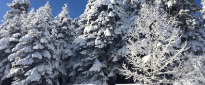 Karlar Altında Abant ve Gölcük Gölü Turu