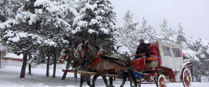 Karlar Altında Abant ve Gölcük Gölü Turu